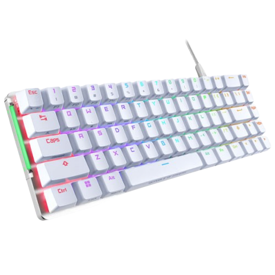 Asus ROG FALCHION ACE Compact 65% Mechanical RGB Gaming Keyboard, Wired (Dual USB-C), ROG NX Red Switches, Per-key RGB Lighting, Touch Panel, White Edition