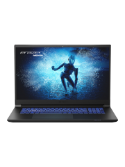 Brand New Medion Erazer Defender P50, Intel Corei7 13620H, 16GB DDR5, 1TB NVMe SSD, 8GB GeForce RTX 4060, Win11 Home, Gaming Laptop